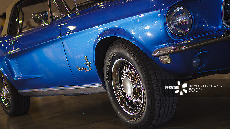 番红花摄影节图片素材