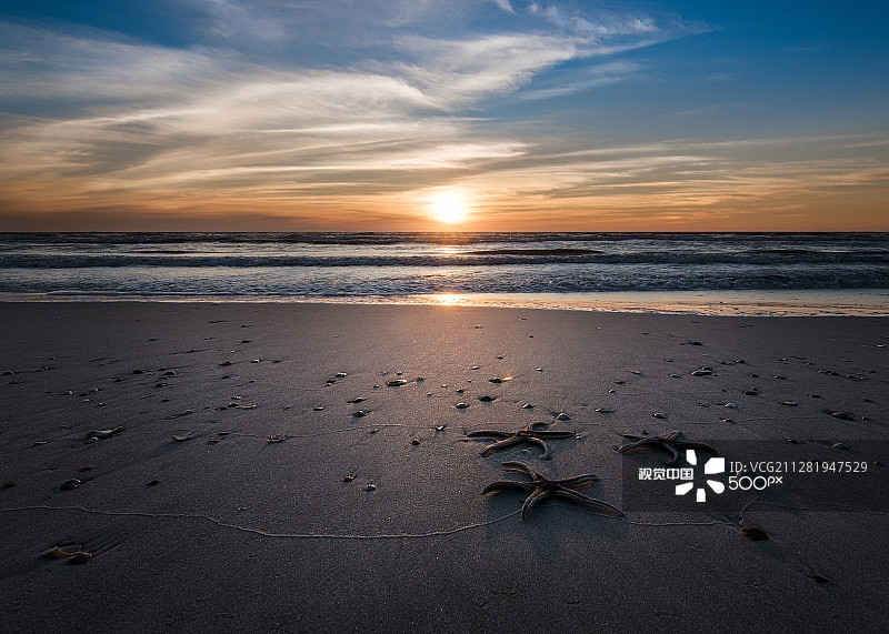 日落与海星图片素材