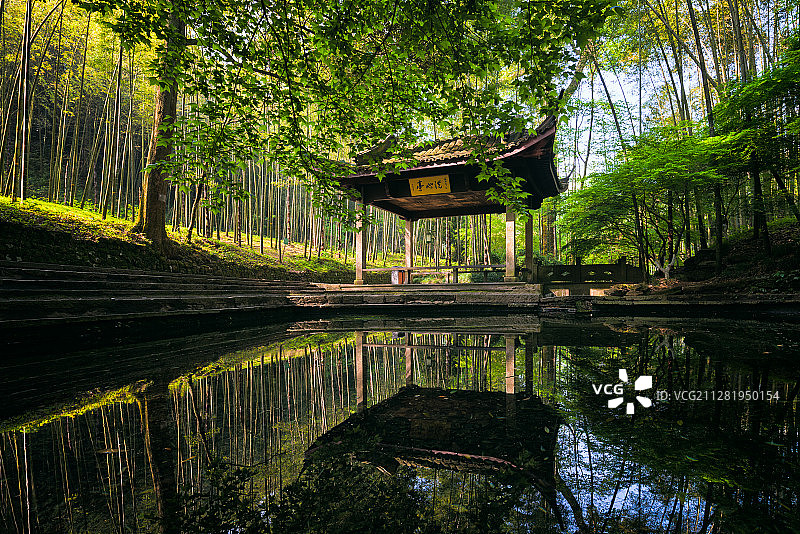 浙江杭州钱塘江西湖曲院风荷春天笋城市风光图片素材