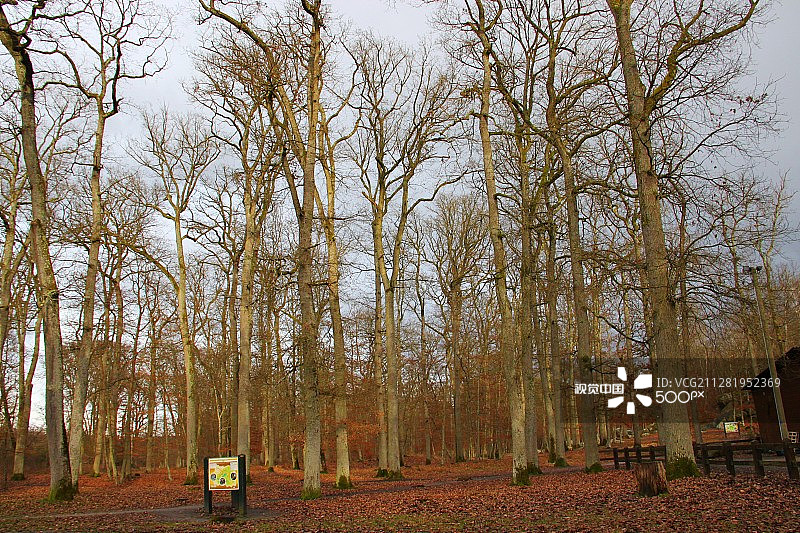 阿普雷蒙巴比松漫步图片素材