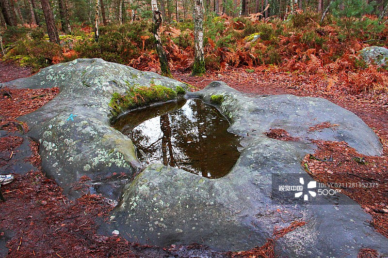 阿普雷蒙巴比松漫步图片素材