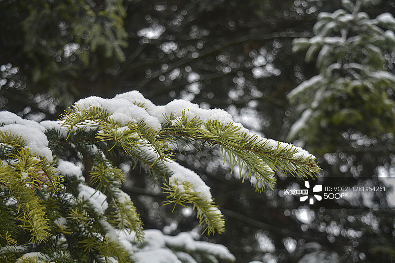 冬天的公园图片素材