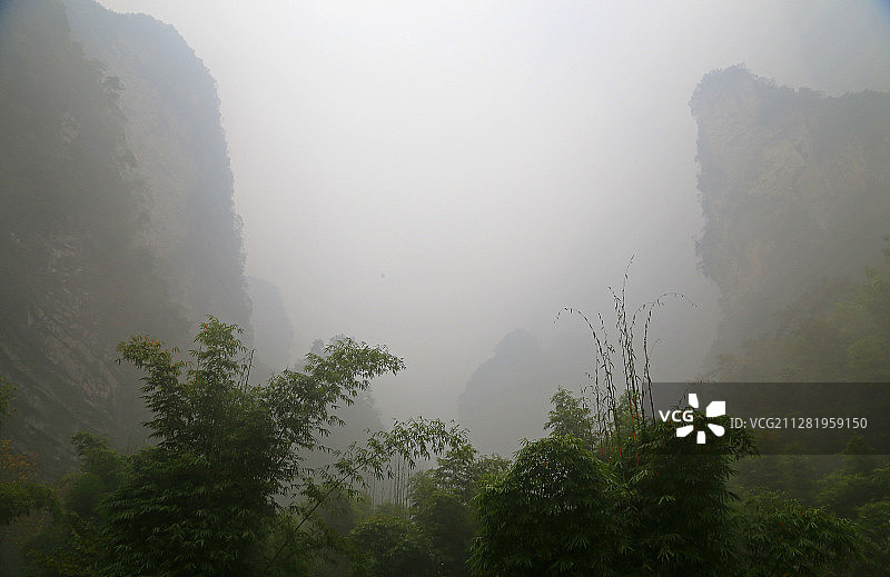 三峡竹海图片素材
