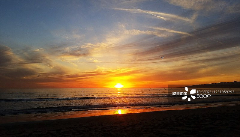 圣莫尼卡日落图片素材