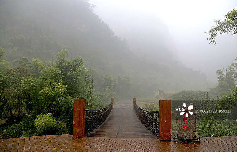 三峡竹海图片素材