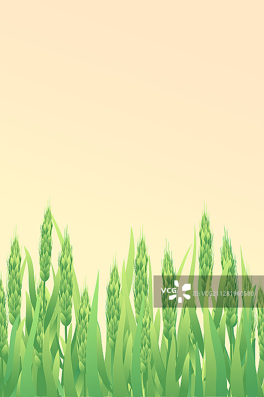 小满节气麦穗生长谷物丰收卡通插画图片素材