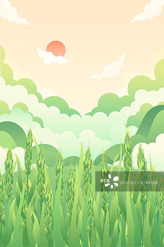 小满节气麦穗生长谷物丰收卡通插画图片素材