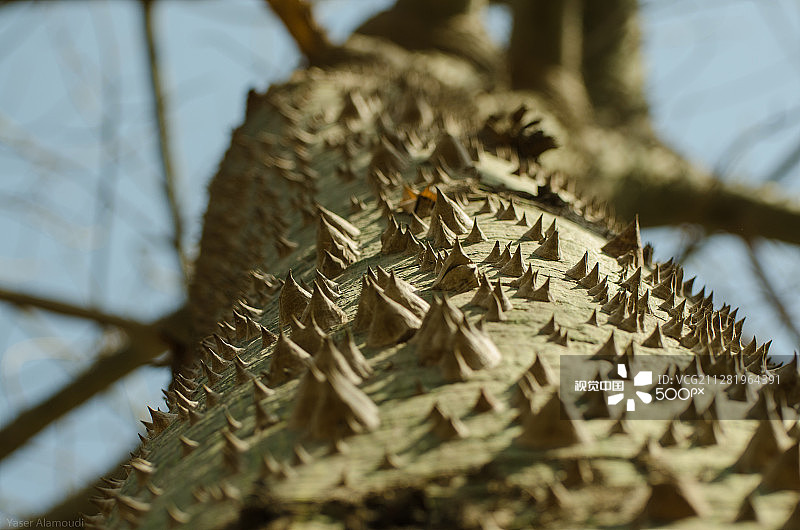 脊椎_06图片素材