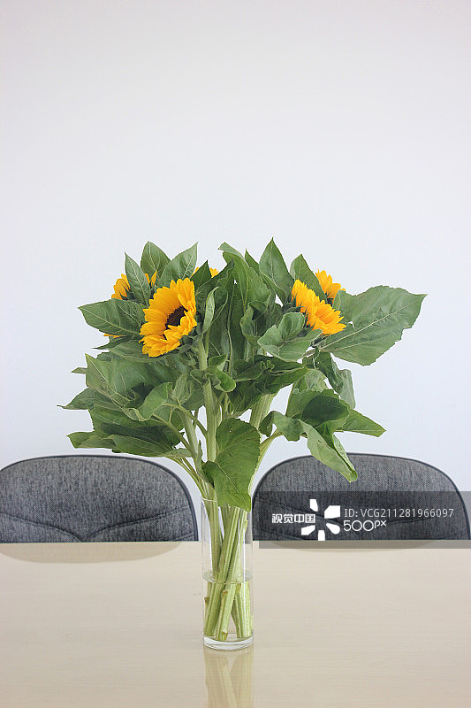 桌上的向日葵花束图片素材