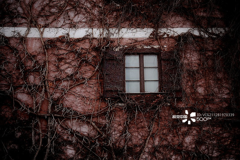 盲人和图片素材