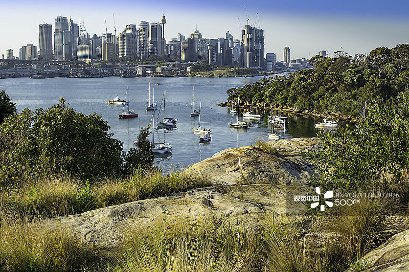从拉金街看到的悉尼海港图片素材