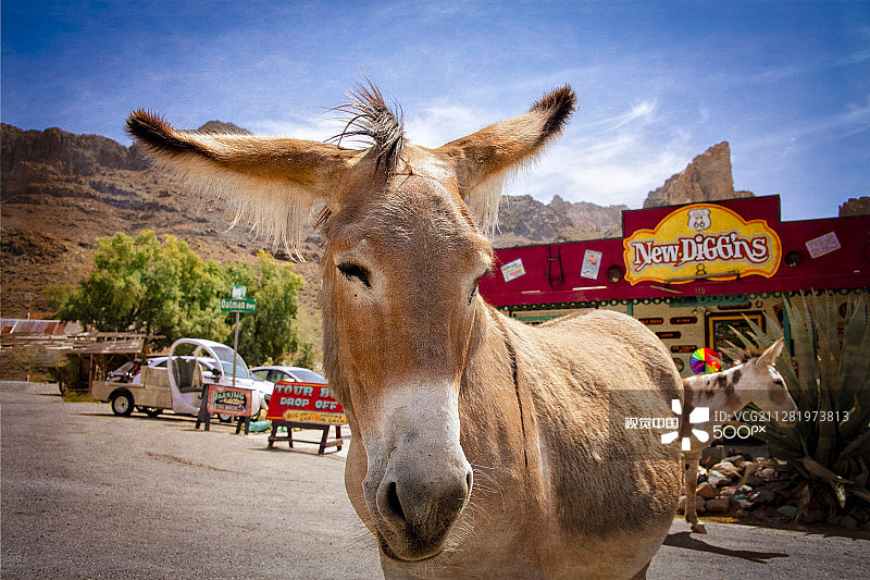 奥特曼镇的镇长图片素材