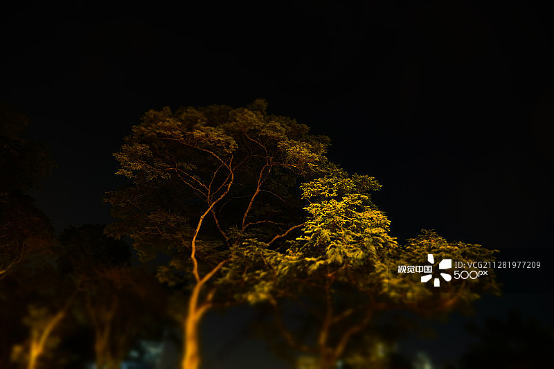 盆景效应图片素材