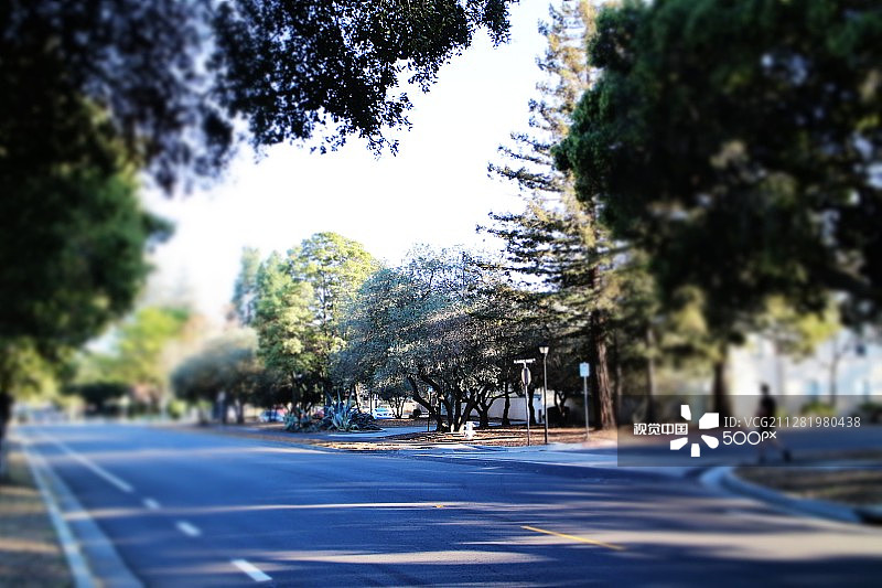 斯坦福和旧金山图片素材