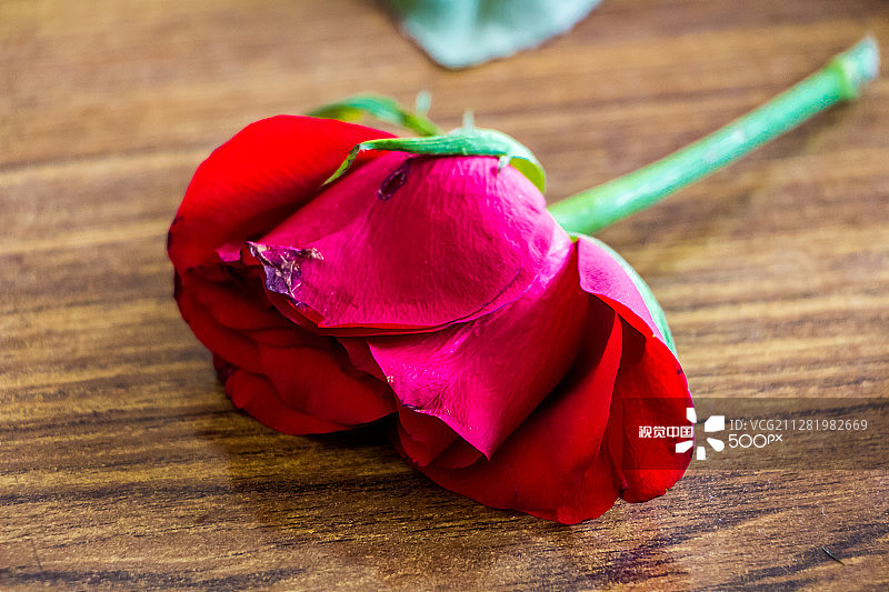 孤独的图片素材