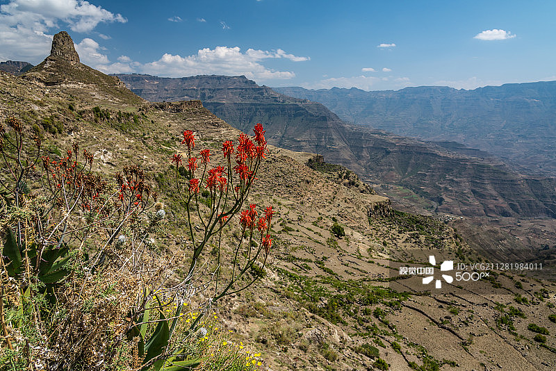 埃塞俄比亚高地图片素材