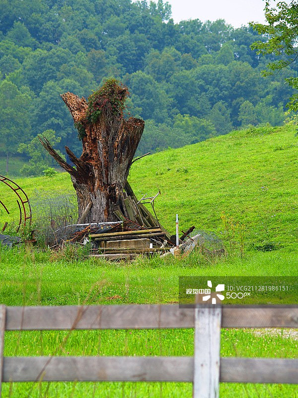 绿色牧场图片素材