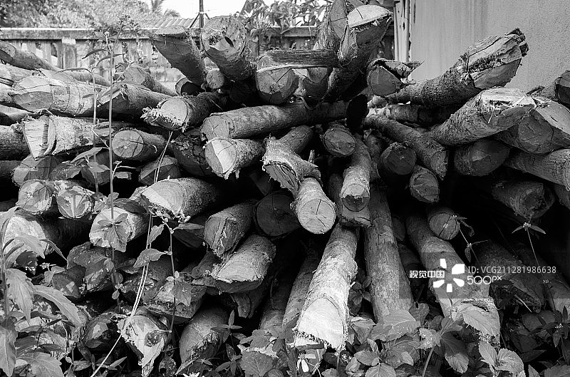 柚木轮廓图片素材