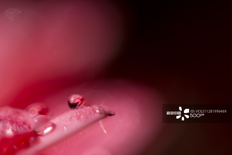 粉色大理石图片素材