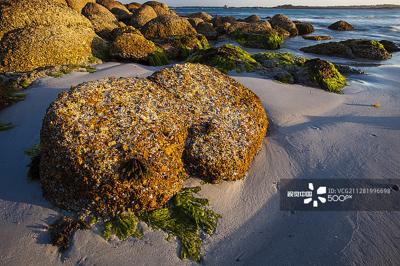 澳大利亚塔斯马尼亚威廉山国家公园海滩的退潮图片素材