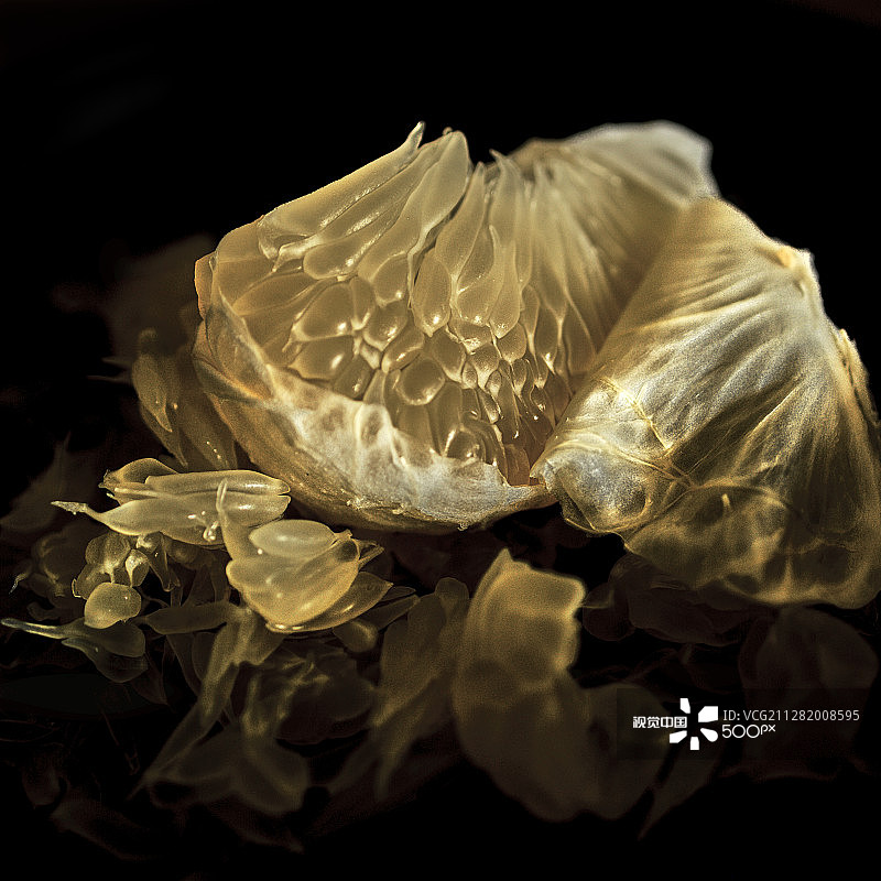 柚子果肉图片素材