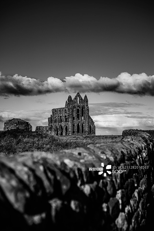 惠特比艾比图片素材