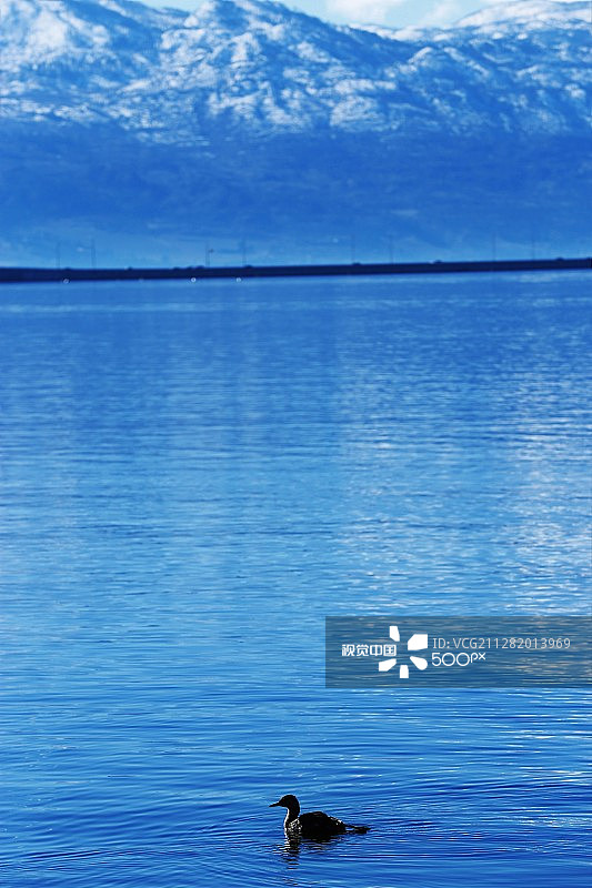 禅意月亮图片素材