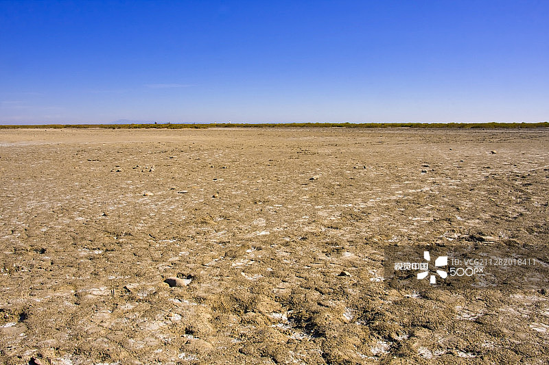 卡马格咸味的土地图片素材