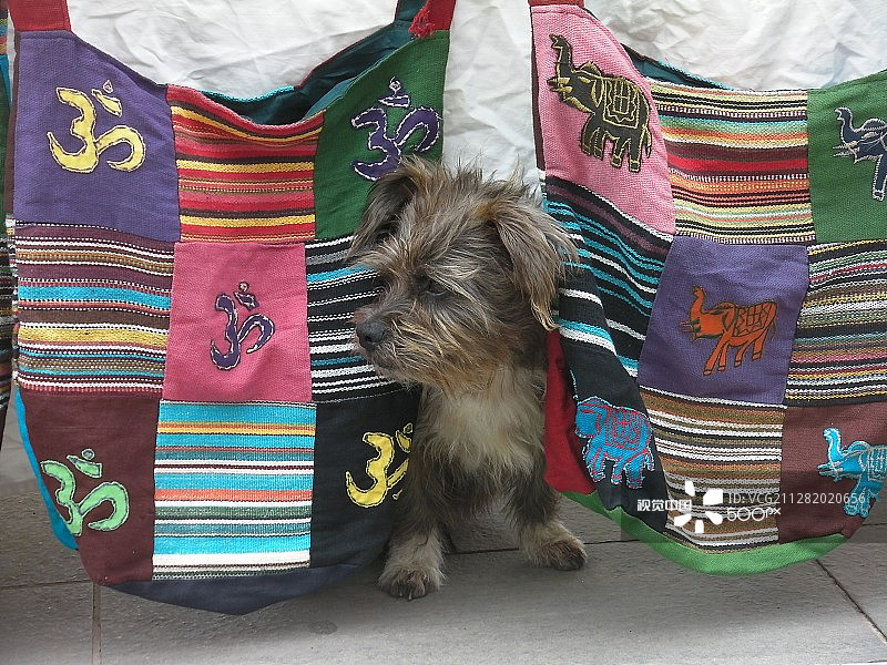 这里发生了什么？图片素材