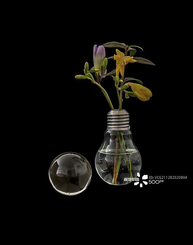 小苍兰和玻璃球图片素材