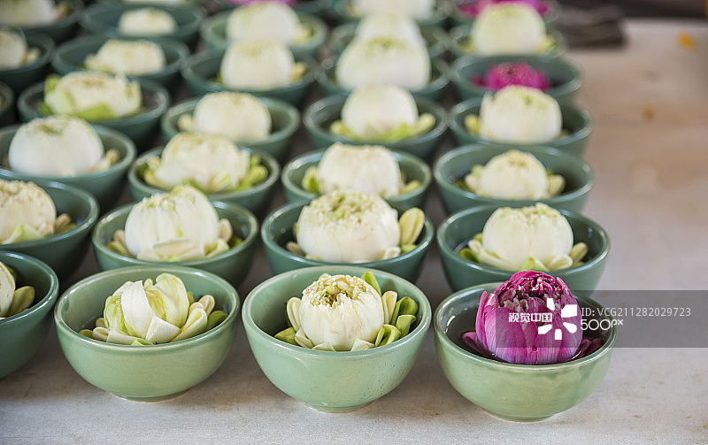 碗里的白色和粉色莲花图片素材