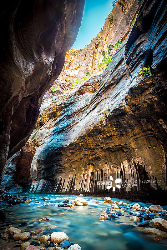 的缩小图片素材