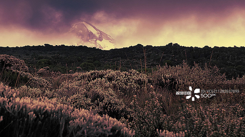 乞力马扎罗山顶雪景图片素材