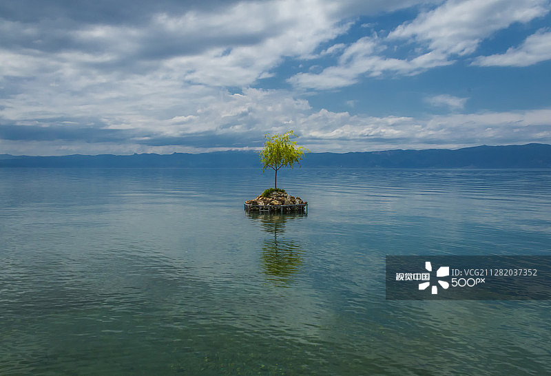 岛屿树木图片素材