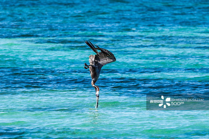 瓜德罗普岛戈西耶图片素材