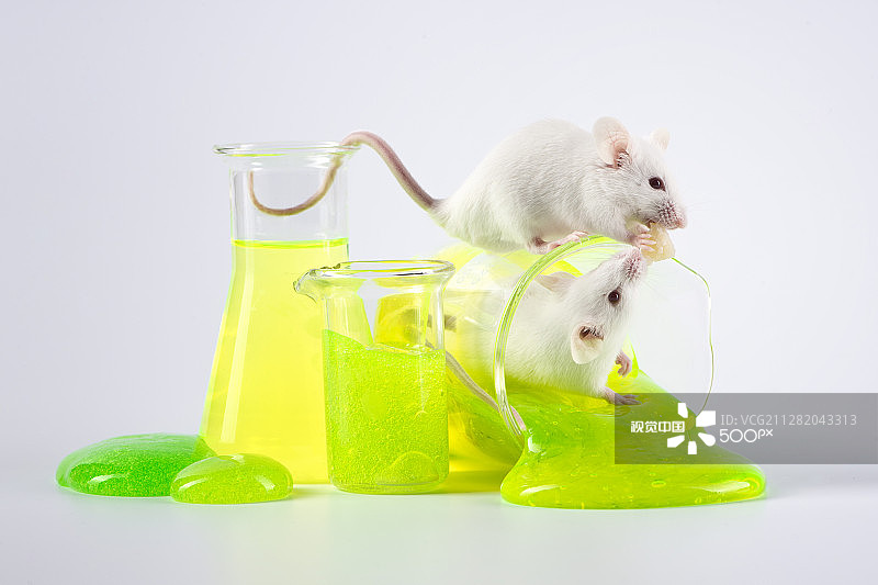 放射性图片素材