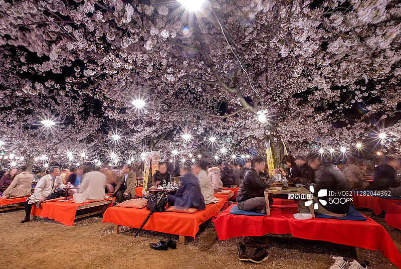 樱花盛开，日本图片素材