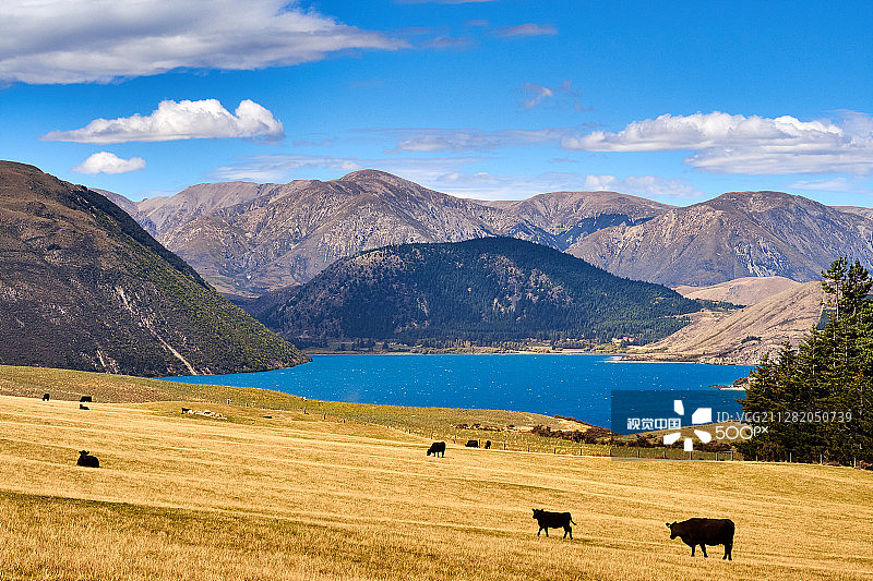 科尔里奇湖图片素材
