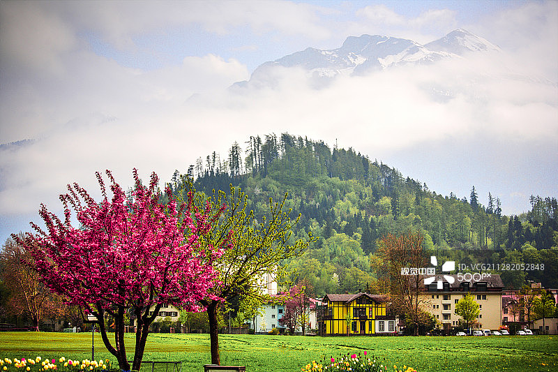 因特拉肯风光图片素材