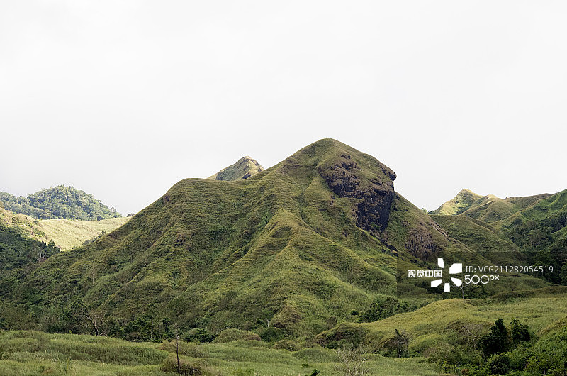 一只哈巴狗造型的山图片素材