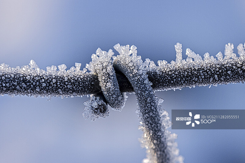 电线上的冰晶图片素材