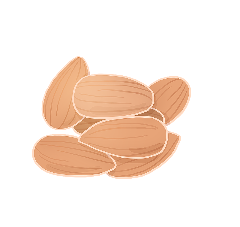 杏仁图片素材