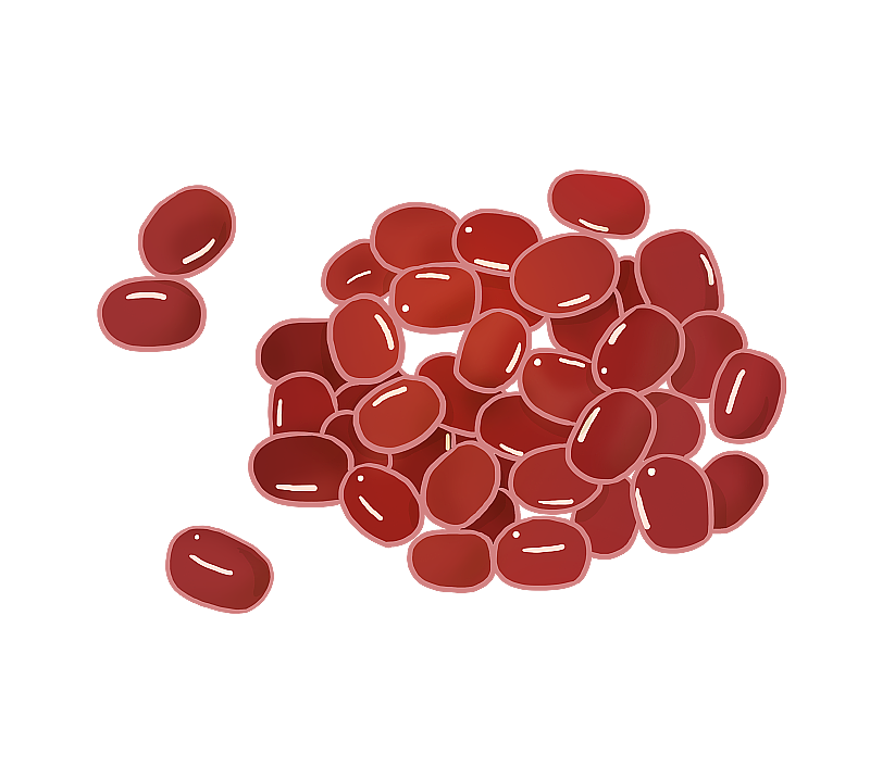 赤小豆图片素材