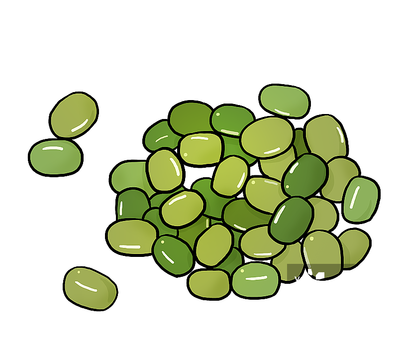 绿豆图片素材