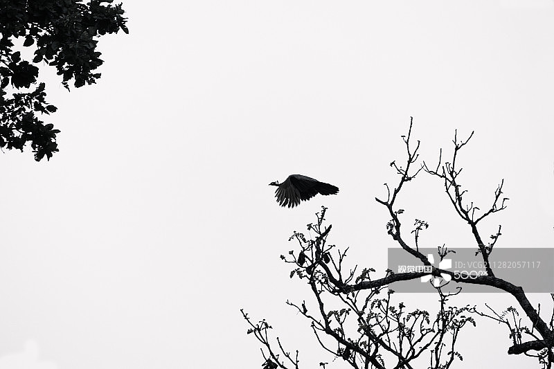 飞行物图片素材