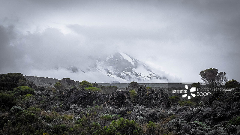 乞力马扎罗山顶雪景图片素材