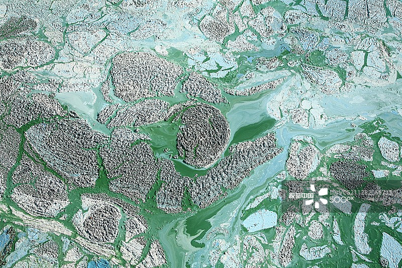 蓝绿藻图片素材