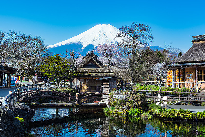 春季的忍野八海图片素材
