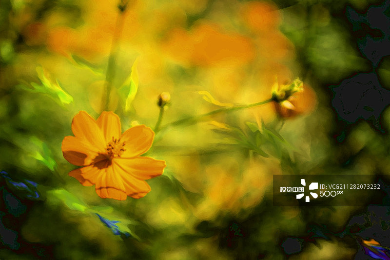 长崎花卉图片素材