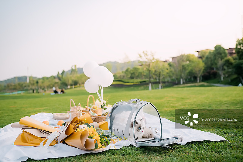 户外野餐图片素材